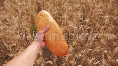 农夫持面包第一人称观。 人在麦田里拿着一条面包。 慢动作视频。 <strong>成功成功成功</strong>
